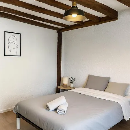 Apartment Centre - Logis David D'angers - 3 Angers