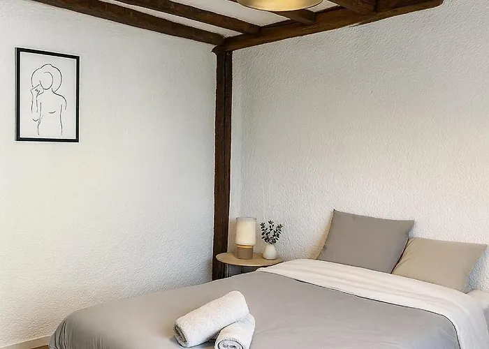 Apartament Historique - Maison David D Angers